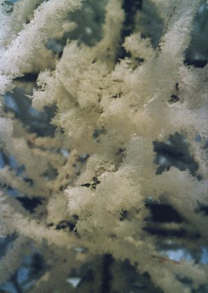 Eiskristalle