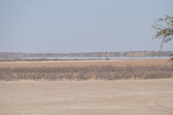 Foto: Luftspiegelungen in der Atacama