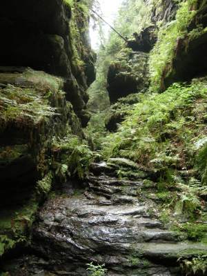 Foto: im Hoellengrund