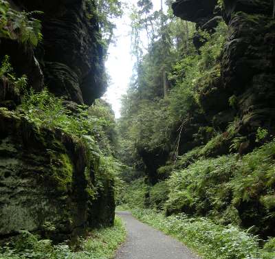 Foto: im Höllengrund