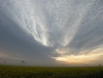 Foto vom Himmel ueber Rapsfeld