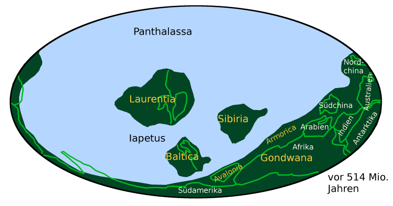 Grafik: Verteilung der Kontinente im Kambrium