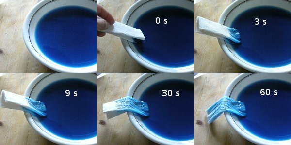 Experiment zum Kapillaraufstieg
