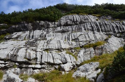 am Margschifive fingerserf