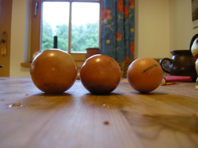 eier