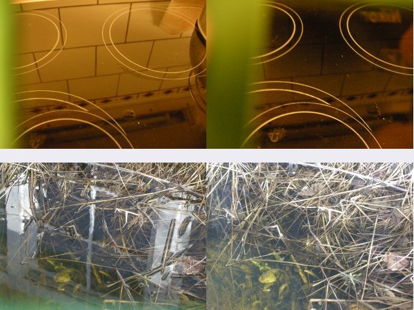 Foto: Polarisation durch Reflexion