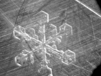 Foto: Schneestern unter dem Mikroskop