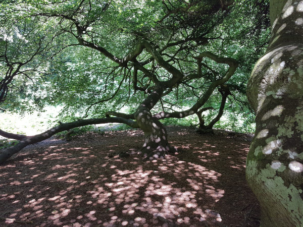 Foto von Sonnentalern