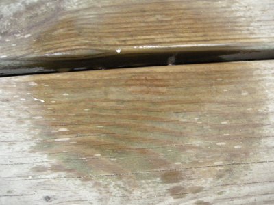 Tropfen auf Holz
