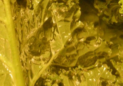 Grünkohlblätter unter Wasser