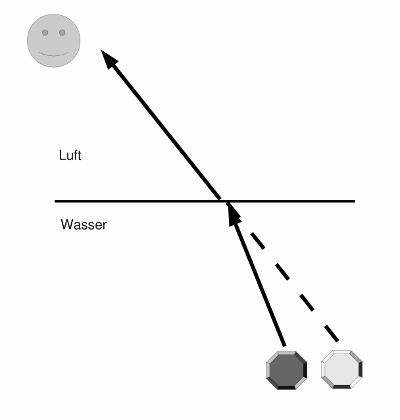 Foto eines Fischbeckens